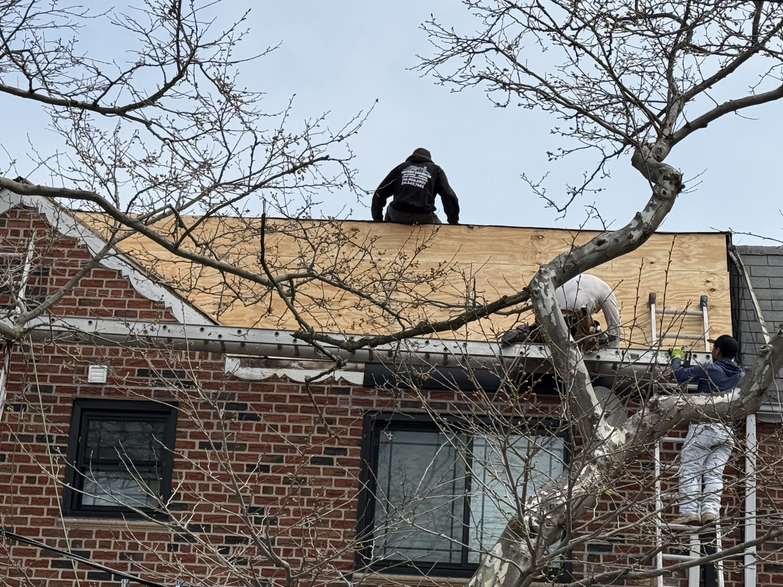 New plywood installation for shingle roof